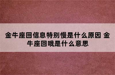 金牛座回信息特别慢是什么原因 金牛座回哦是什么意思